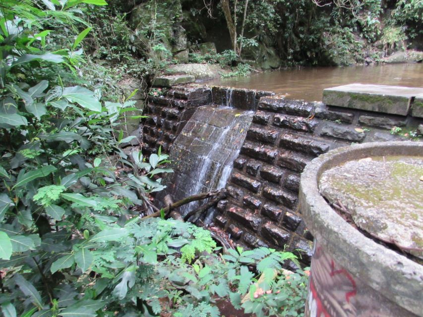 Rio: Tijuca Forest & Horto Waterfalls Circuit Tour - Key points to know before booking