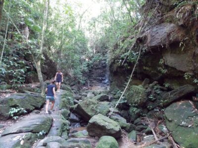 Tijuca Forest & Horto Waterfalls Circuit Tour