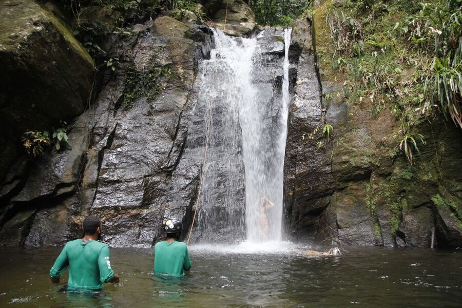 Rio: Tijuca Forest & Horto Waterfalls Circuit Tour - What the four-hour schedule feels like