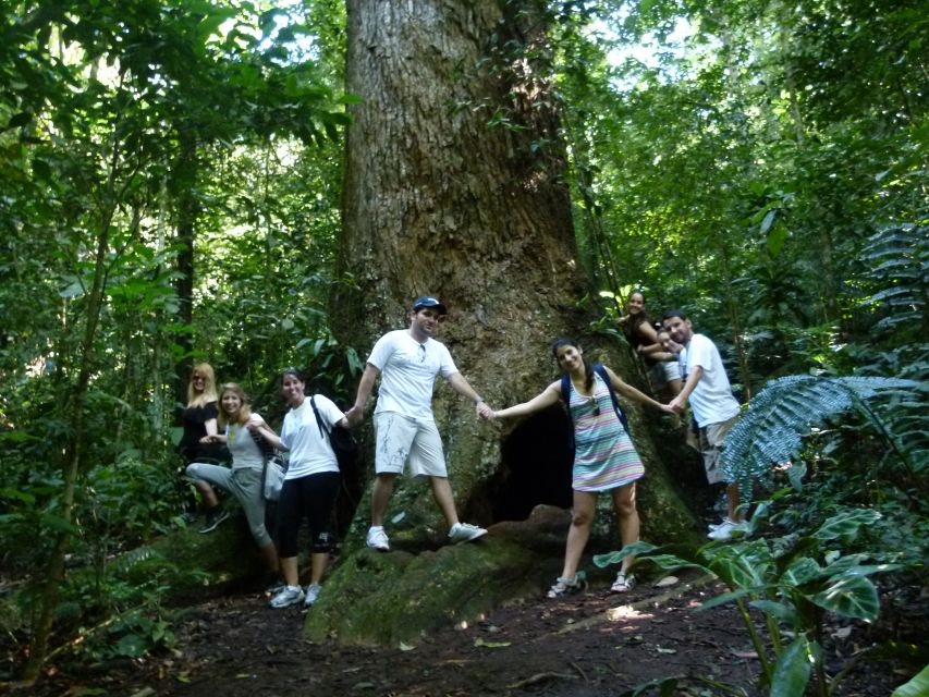 Rio: Tijuca Forest & Horto Waterfalls Circuit Tour - How difficult is the hike?