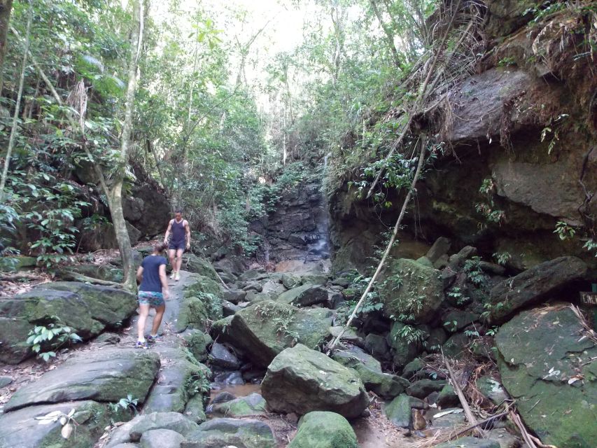 Rio: Tijuca Forest & Horto Waterfalls Circuit Tour - Following the Horto trails to Jequitibá Waterfall