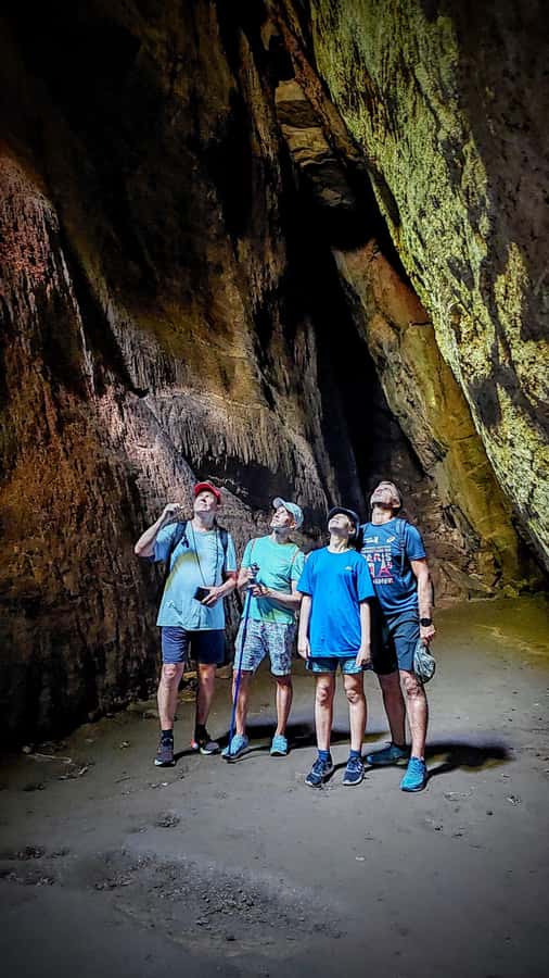Rio: Tijuca Forest Small Group Hike to Caves and Waterfalls - Hotel pickup from Rio’s South Zone