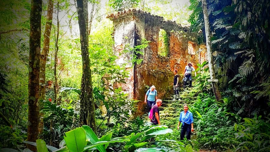 Rio: Tijuca Forest Small Group Hike to Caves and Waterfalls - Mayrink Chapel and the quieter historic stops