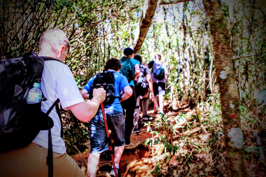 Rio: Tijuca Forest Small Group Hike to Caves and Waterfalls - Baronesa Cascade and the best cooling stop