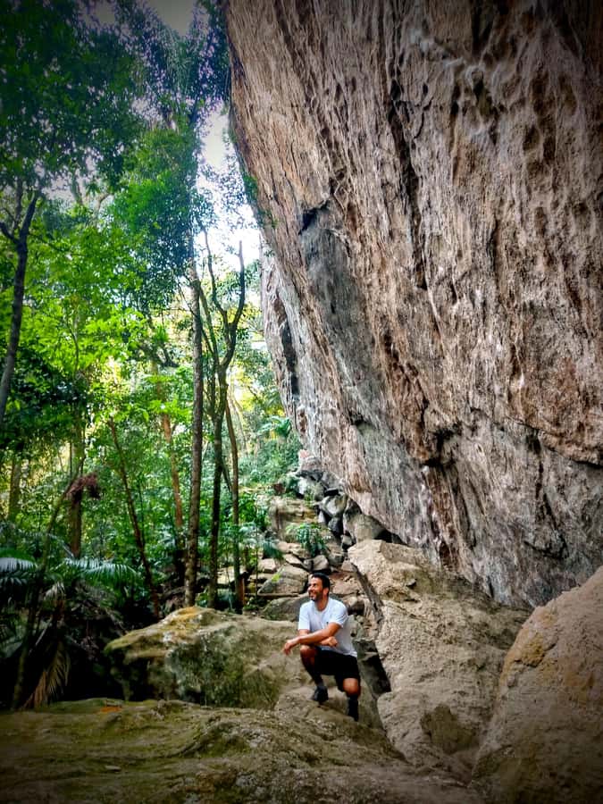 Rio: Tijuca Forest Small Group Hike to Caves and Waterfalls - The return route and viewpoints
