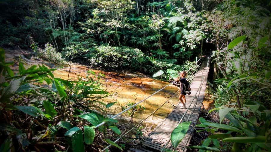 Rio: Tijuca Forest Small Group Hike to Caves and Waterfalls - Cascatinha Taunay and the old park roads