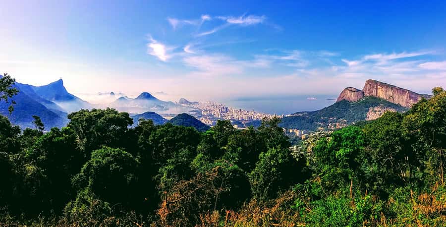 Rio: Tijuca National Park Small-Group Hike to Pedra Bonita - The Pedra Bonita trail: short, shaded, and uneven