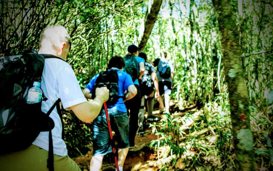 Rio: Tijuca National Park Small-Group Hike to Pedra Bonita - What the small group changes