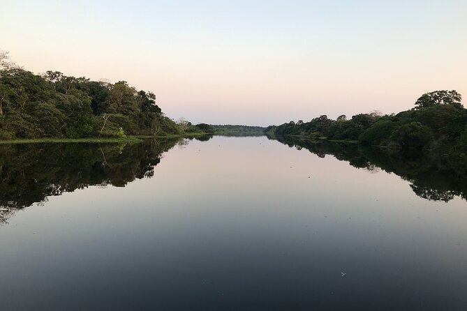River Day Tour from Manaus - The boat ride, group size, and guide quality