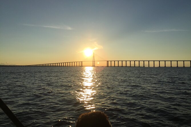 River Day Tour from Manaus - Life on the water at Catalão