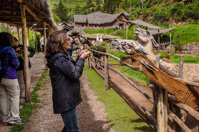Sacred Valley and Machu Picchu Tour in 2 days with Peru Vip - Urubamba buffet lunch and the road to Ollantaytambo