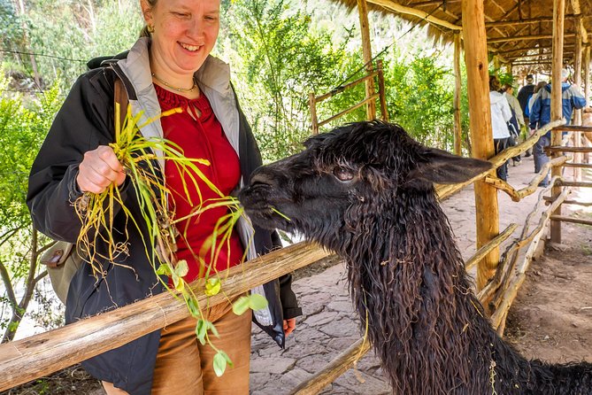 Sacred Valley and Machu Picchu Tour in 2 days with Peru Vip - Returning through Aguas Calientes and Cusco