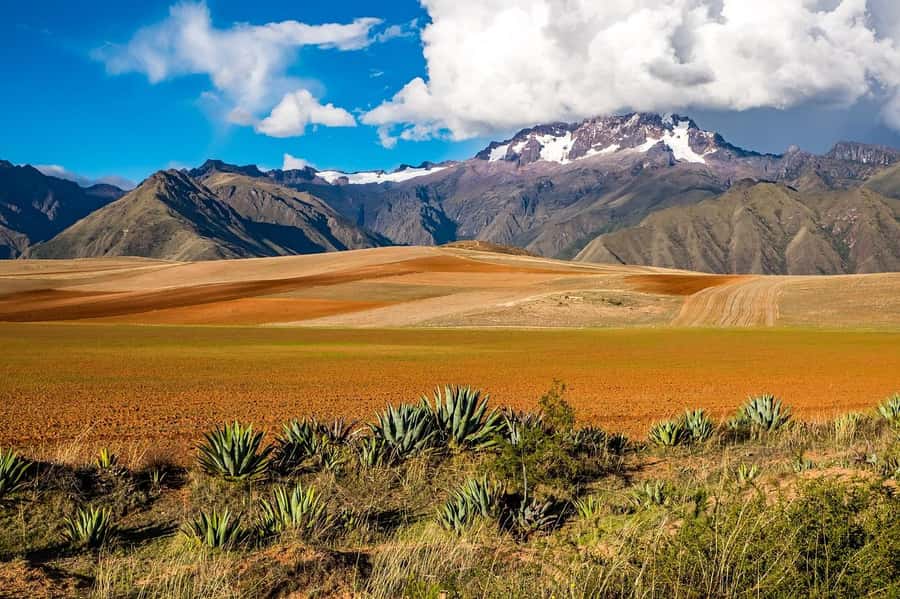 Sacred Valley: Chinchero, Moray, Ollantaytambo & Pisac+Lunch - Transport, Timing, and the Reality of a Shared Tour