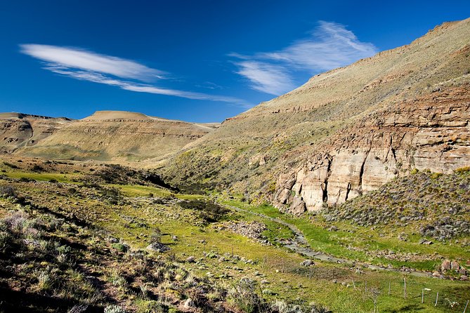 Safari Experience - Wildlife & Steppe - What the reserve adds beyond wildlife