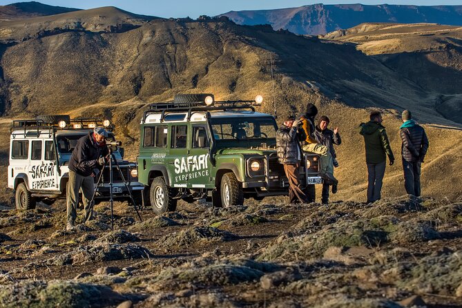 Safari Experience - Wildlife & Steppe - Timing, price, and practical value