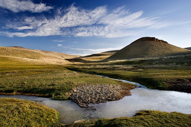 Safari Experience - Wildlife & Steppe - Guanacos, rheas, condors, and the patience of wildlife watching