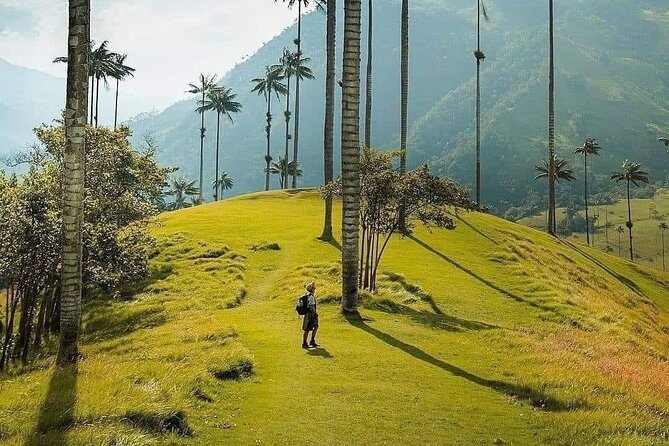 Salento, Cocora and Filandia Private Tour from Pereira or Armenia - Salento’s Royal Street and easy town wandering