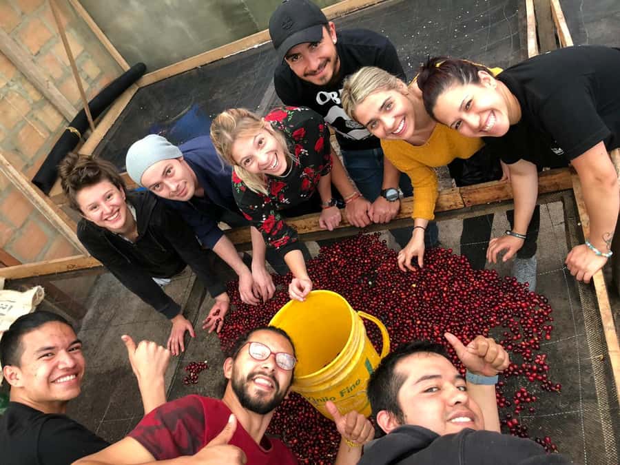 Salento: Coffee Farm Tour with Tasting - Key points to know before you go