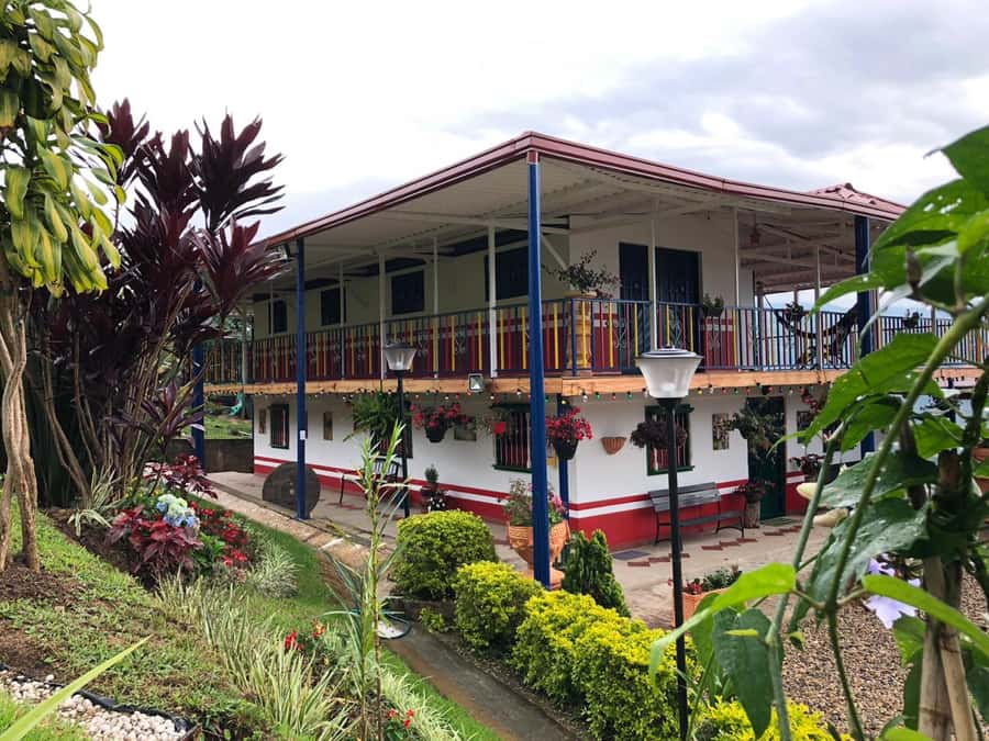 Salento: Coffee Farm Tour with Tasting - Seeing how coffee begins in the seedling area