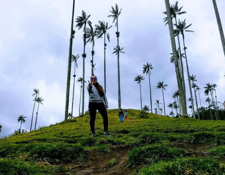 Salento/Pereira: Cocora Valley & Salento Hiking Private Tour - Walking beneath the wax palms