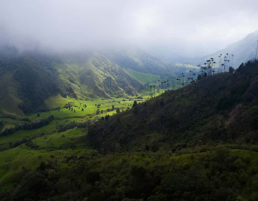 Salento/Pereira: Cocora Valley & Salento Hiking Private Tour - Meeting valley residents and seeing farm life