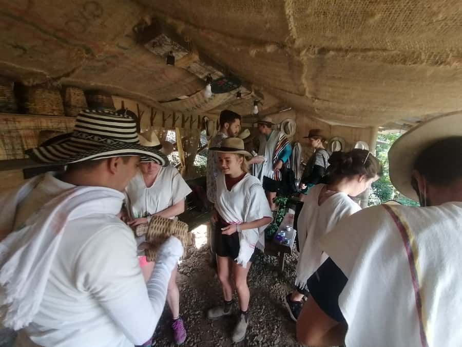 Salento: Private Cocora Valley, Salento & Coffee Farm Tour - Practical preparation for the best day