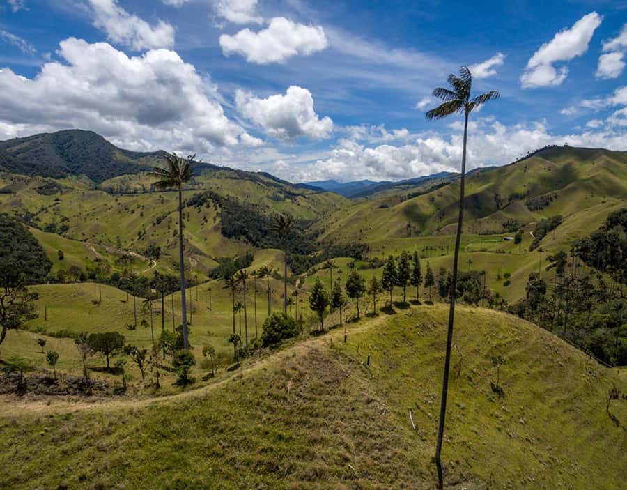 Salento: Private Cocora Valley, Salento & Coffee Farm Tour - A working coffee farm, from cherry to cup