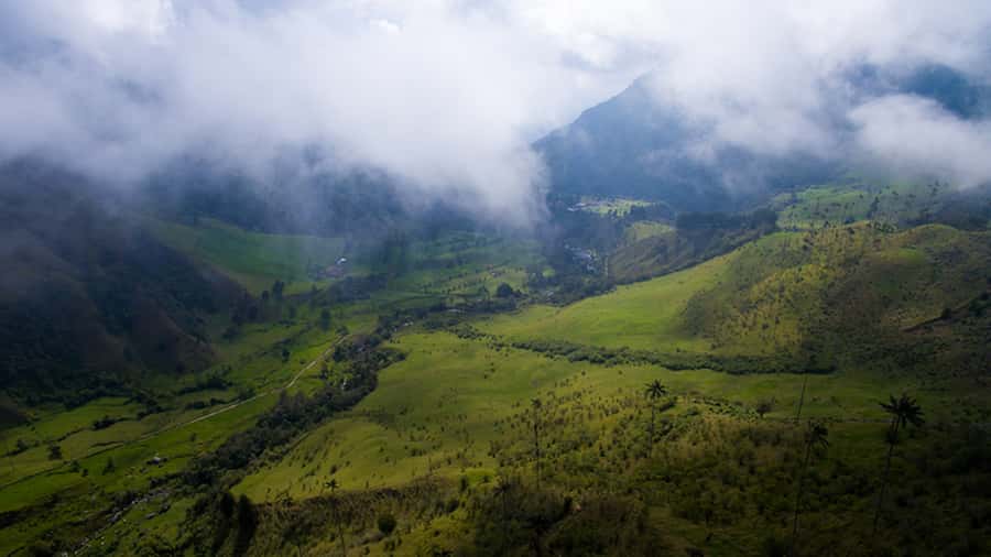 Salento: Private Cocora Valley, Salento & Coffee Farm Tour - Is $157 per person good value?