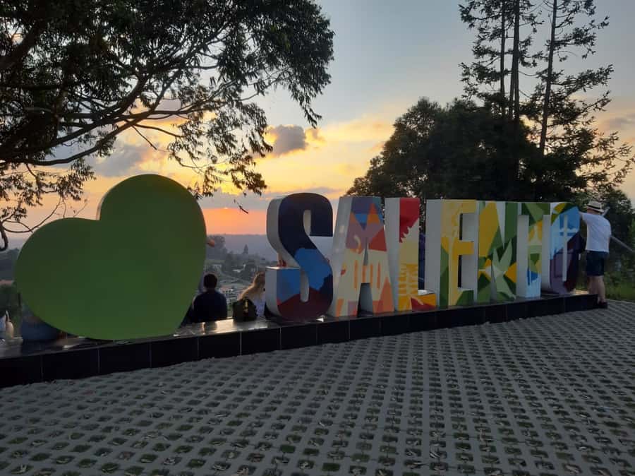 Salento: Private Cocora Valley, Salento & Coffee Farm Tour - Walking among Cocora’s wax palms