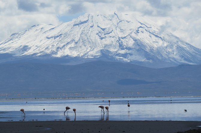 Salinas National Reserve PRIVATE TOUR - A picnic with a view