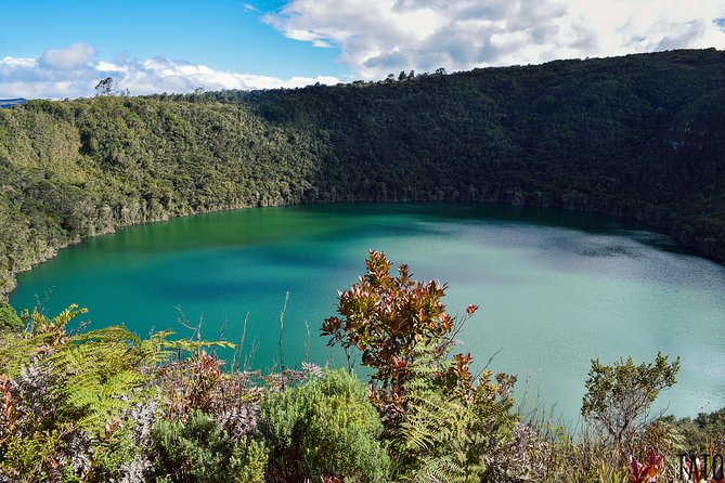 Salt Cathedral of Zipaquirá & Lake Guatavita: Private or Shared - Who should book this tour?