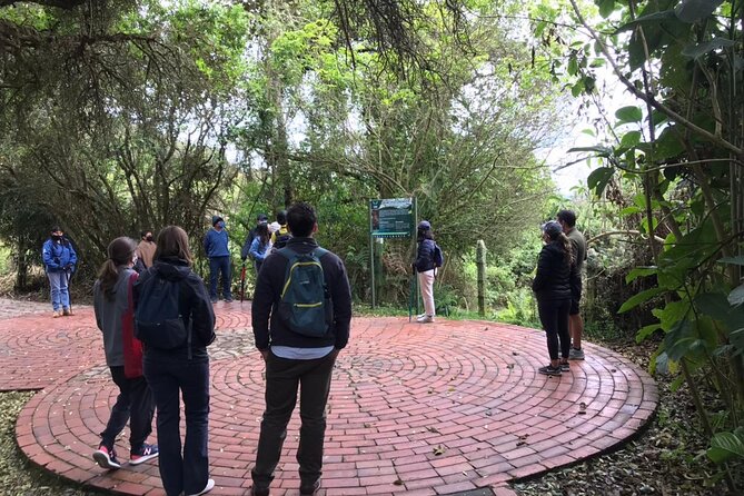 Salt Cathedral of Zipaquirá Tours: Multiple Options Available - Guatavita Lake adds nature and legend
