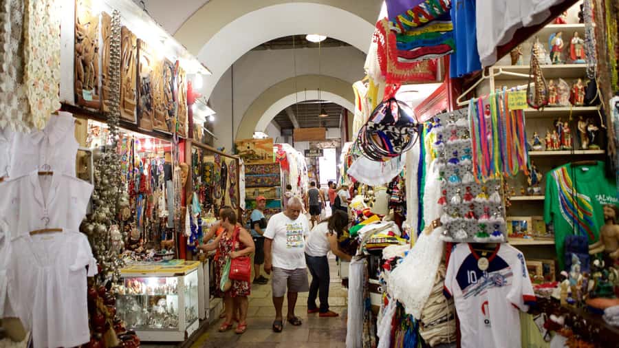 Salvador Historic Walking Tour - Pelourinho - Guides who shape the experience