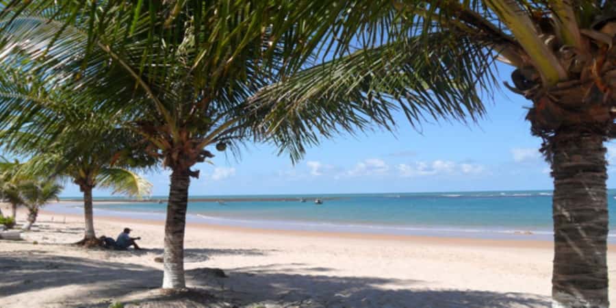 Salvador: Praia Do Forte and Guarajuba Beach Day Trip - Who should book this North Coast day trip?