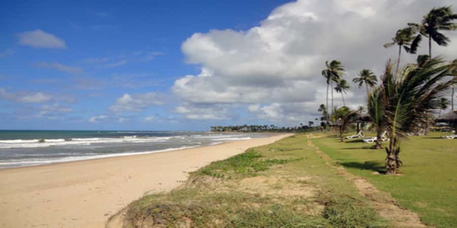 Salvador: Praia Do Forte and Guarajuba Beach Day Trip - What to bring and how to prepare