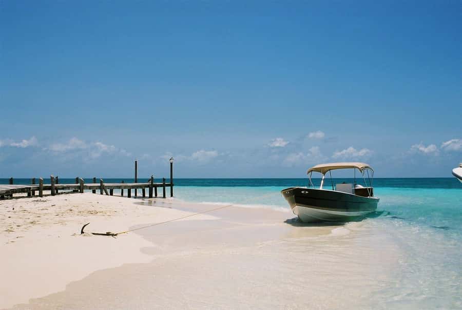 Salvador: Praia Do Forte and Guarajuba Beach Day Trip - Projeto Tamar adds a conservation stop