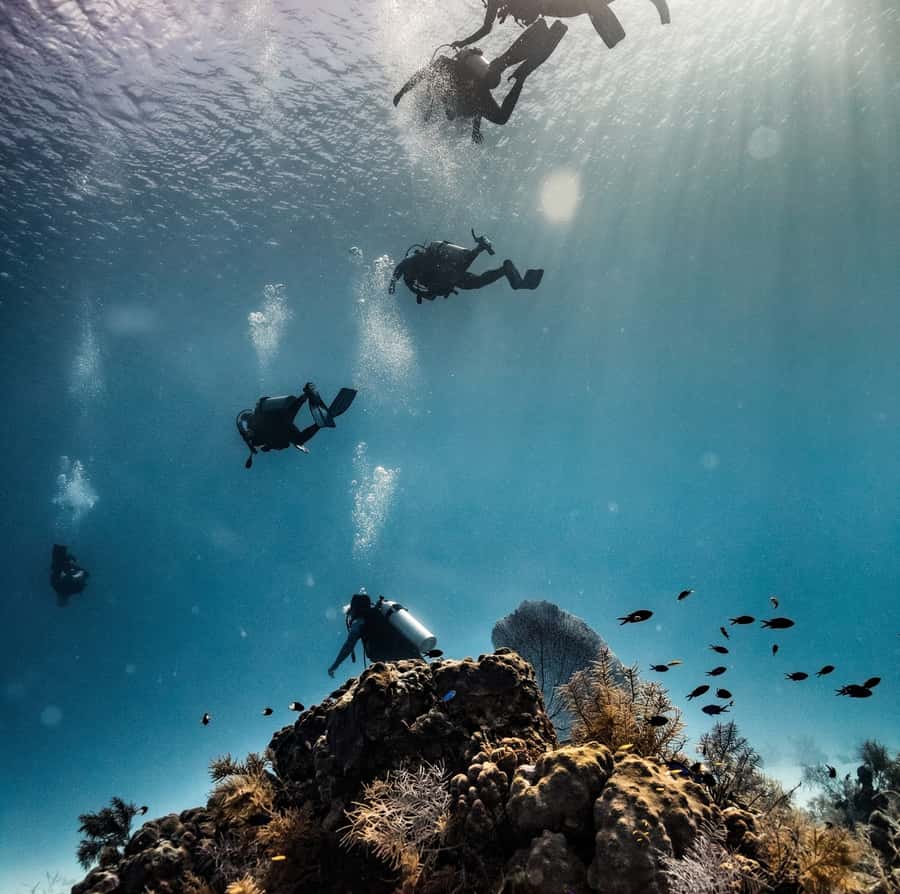 San Andres: Scuba Diving Experience with Hotel Pickup - Why Big Mamá makes this more than a basic swim