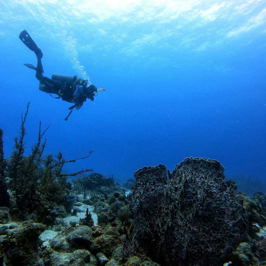 San Andres: Scuba Diving Experience with Hotel Pickup - The three-hour schedule, from pickup to the sea
