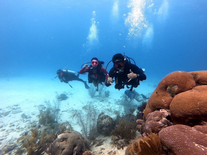 San Andres: Scuba Diving Experience with Hotel Pickup - Photos, videos, and what they add