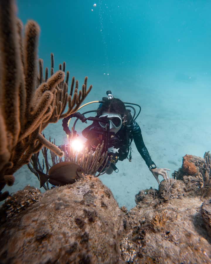San Andres: Scuba Diving Experience with Hotel Pickup - Is $50 a fair price?