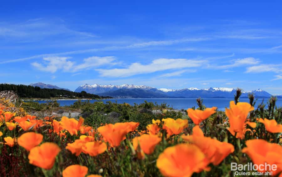 San Martín de los Andes por 7 Lagos - Should you book the Seven Lakes tour?