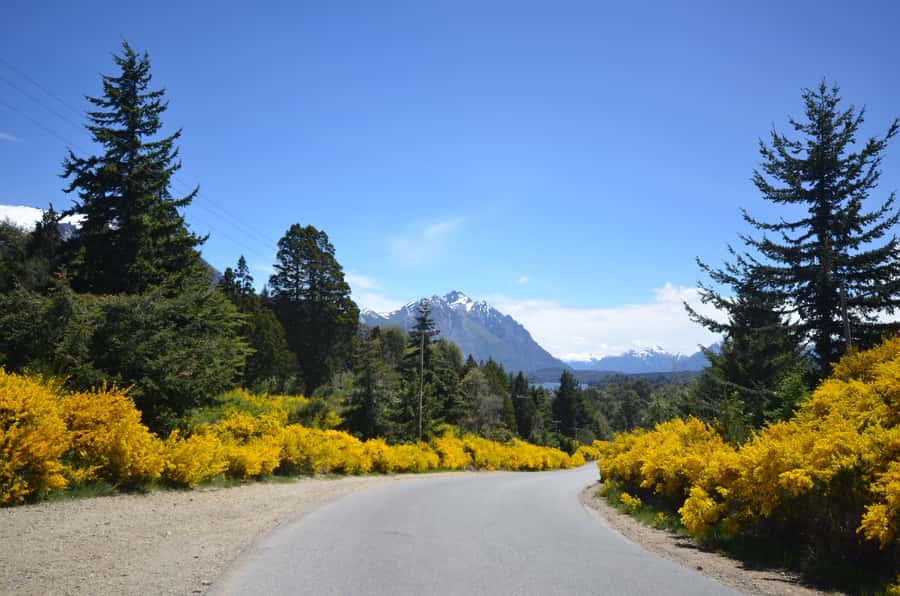 San Martín de los Andes por 7 Lagos - Villa La Angostura: a useful first walking stop