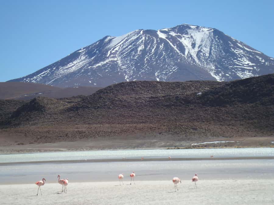 San Pedro de Atacama: 3 D. Tour Uyuni and Back to San Pedro - Crossing from San Pedro into Bolivia at 6:00