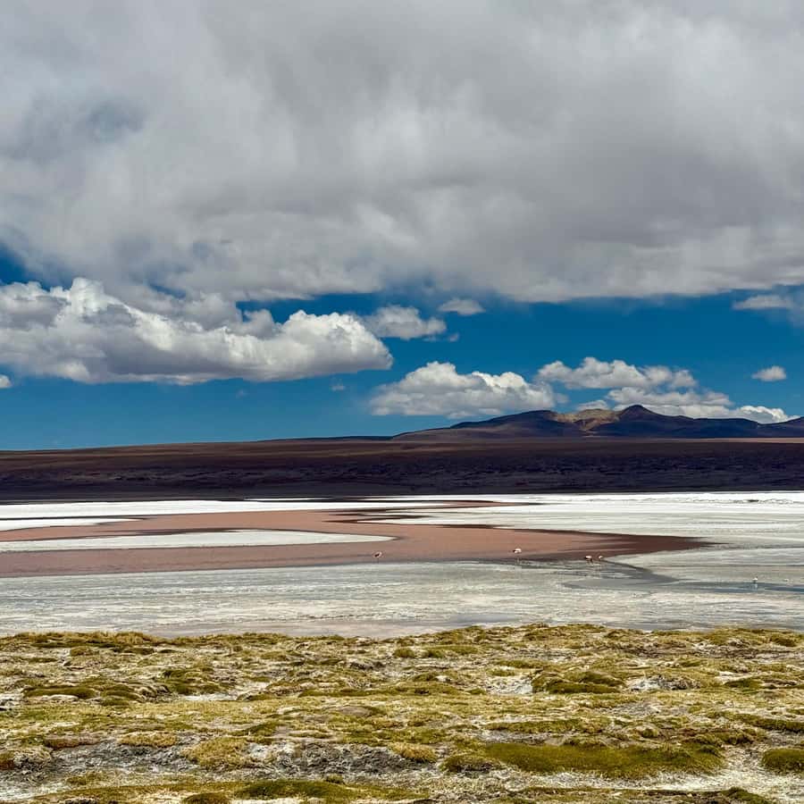 San Pedro de Atacama: 3 D. Tour Uyuni and Back to San Pedro - The train cemetery and the return through Villa Mar