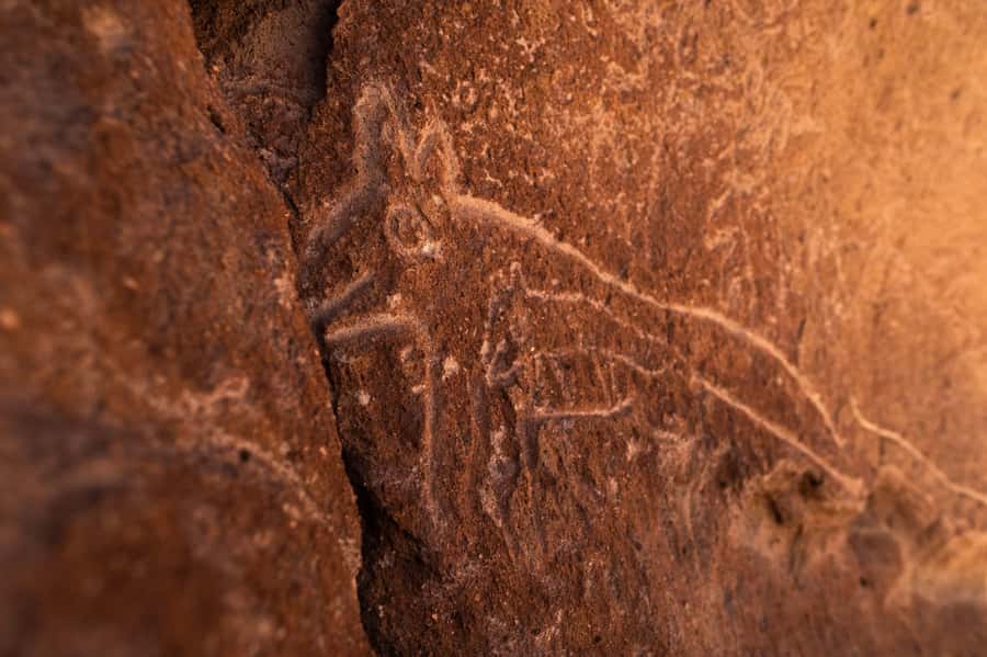 San Pedro de Atacama: Rainbow Valley & Hierbas Buenas Tour - Small groups and the value of a bilingual guide