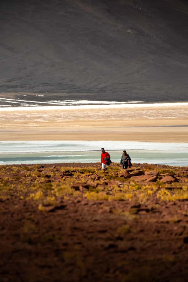 San Pedro de Atacama: Red Rocks & Altiplano Lagoons Day Trip - Altitude, clothing, and who should skip this trip
