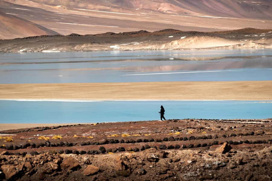 San Pedro de Atacama: Red Rocks & Altiplano Lagoons Day Trip - Walking across Red Rocks at 3,800 meters