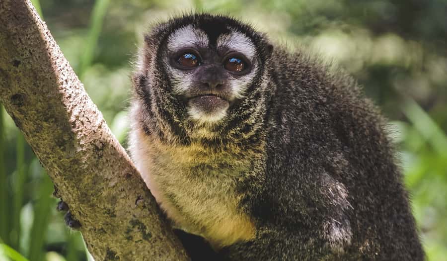 Santa Cruz: Wildlife Sanctuary and Preservation Park Tour - How much value do you get for $85?