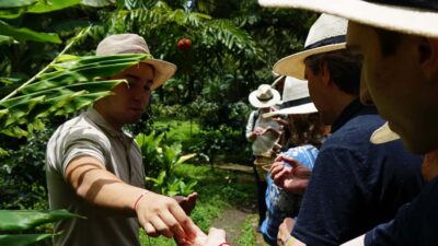 Minca Coffee, Cocoa, & Waterfall Full-Day Trip