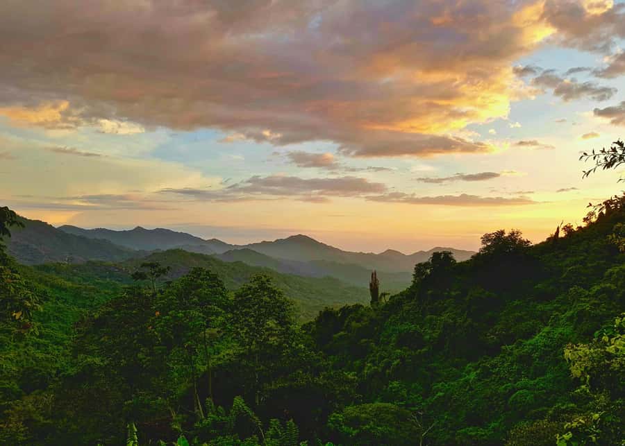 Santa Marta: Minca Coffee, Cocoa, & Waterfall Full-Day Trip - Learning to make chocolate in Minca